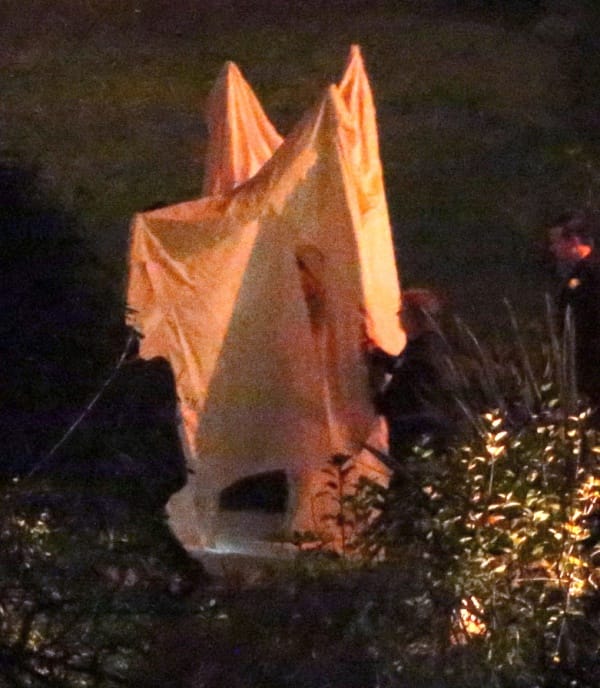 Cameron Diaz Weds Benji Madden In Beverly Hills