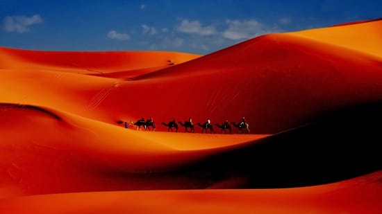 camel caravan with tourists riding along sand dunes at sunrise