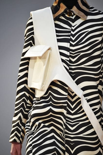 CelineParis RTW Fall Winter 2015 March 2015