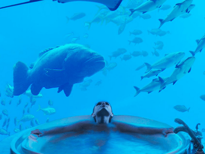 Atlantis, The Palm, Dubai2