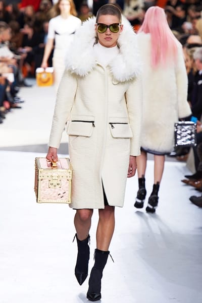 Louis Vuitton Paris RTW Fall Winter 2015 March 2015