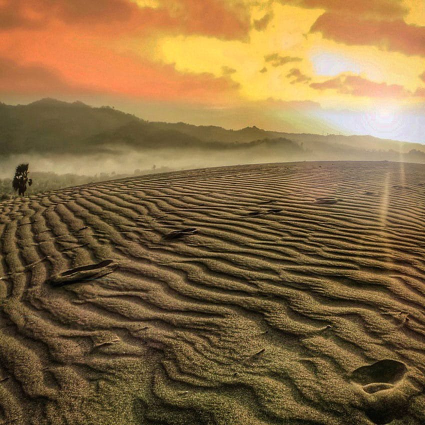 Sumber foto: Bang Tora