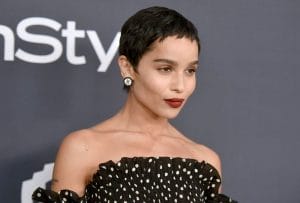 Zoe Kravitz, Lambang "21st Century Fashion Girl"