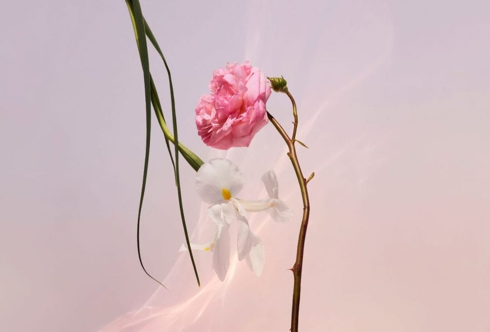 Intipati bunga Iris, May Rose dan Jasmine cukup memikat hati