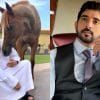 7 Fakta Anda Mungkin Tidak Tahu Tentang Putera Mahkota Dubai, Sheikh Hamdan