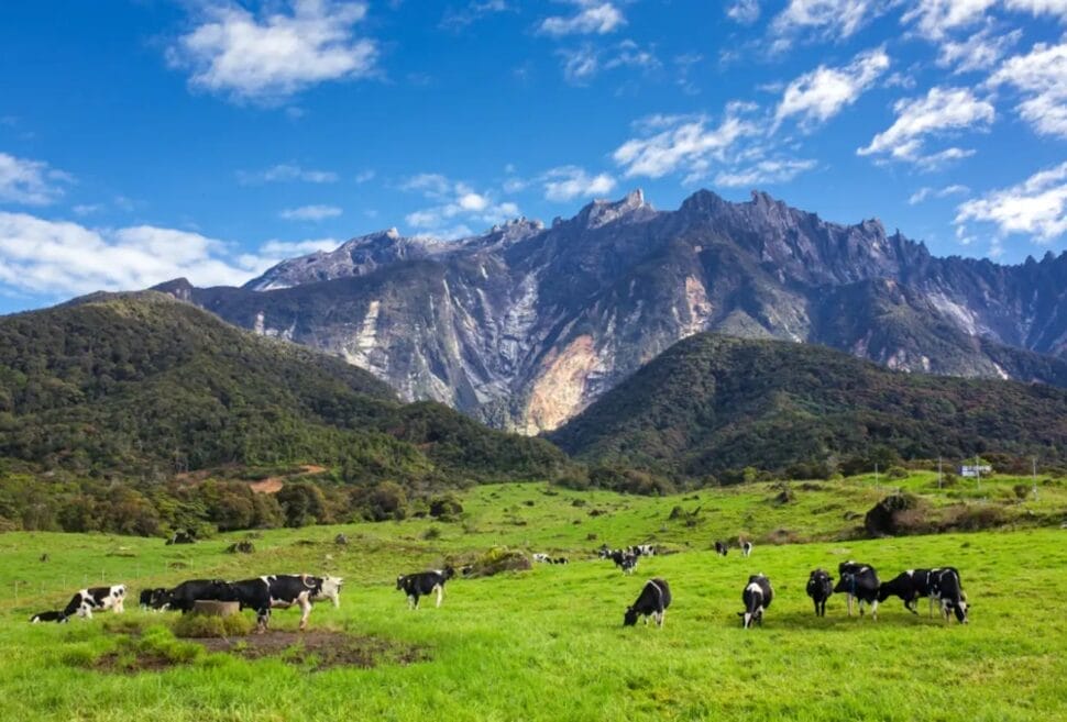 Lokasi Percutian Bulan Madu