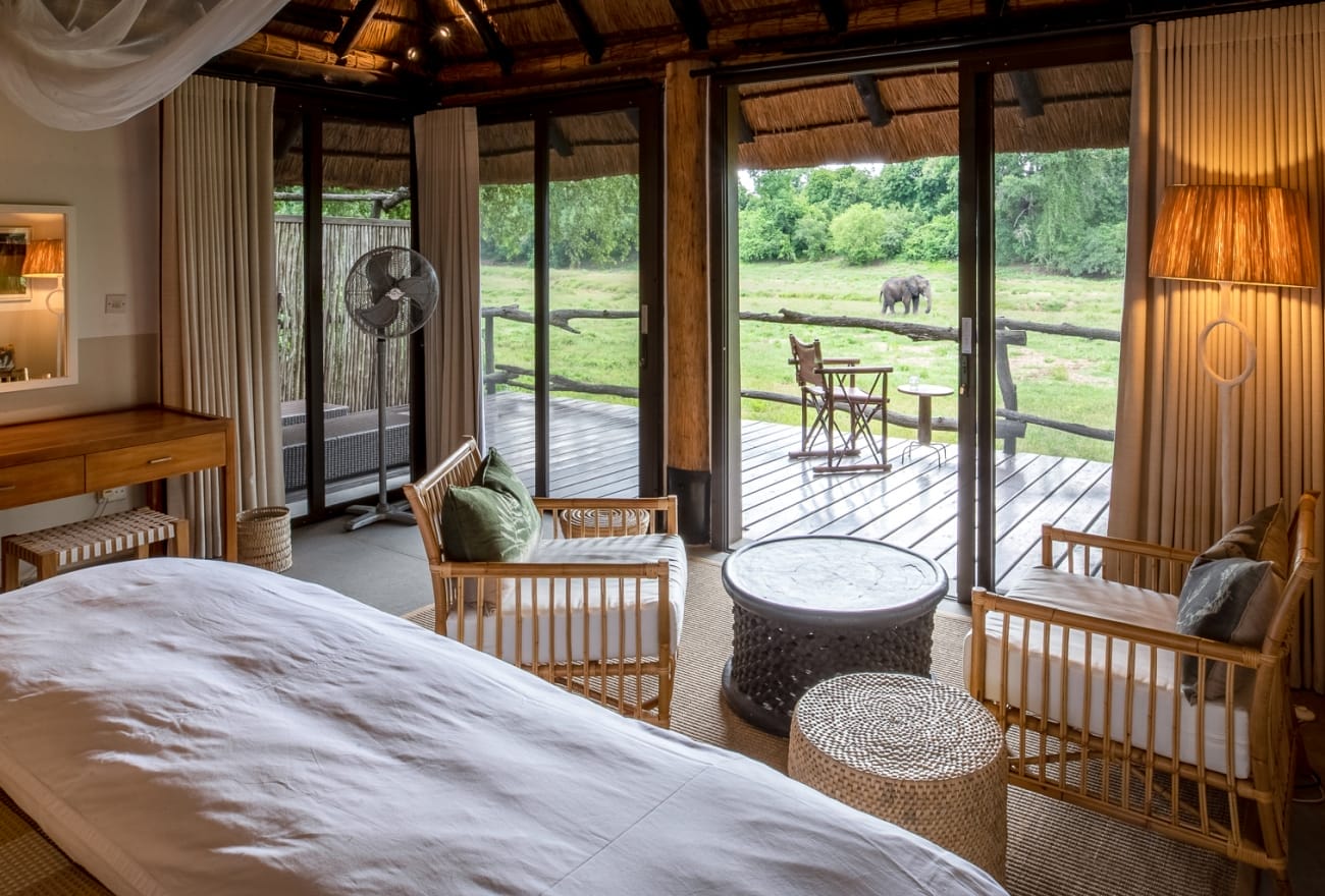 wildlife resort di seluruh dunia yang membolehkan anda berdekatan dengan gajah liar